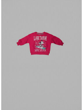 Walmart Minnie Mouse Lake Tahoe Ski Club Toddler Sweatshirt 2T